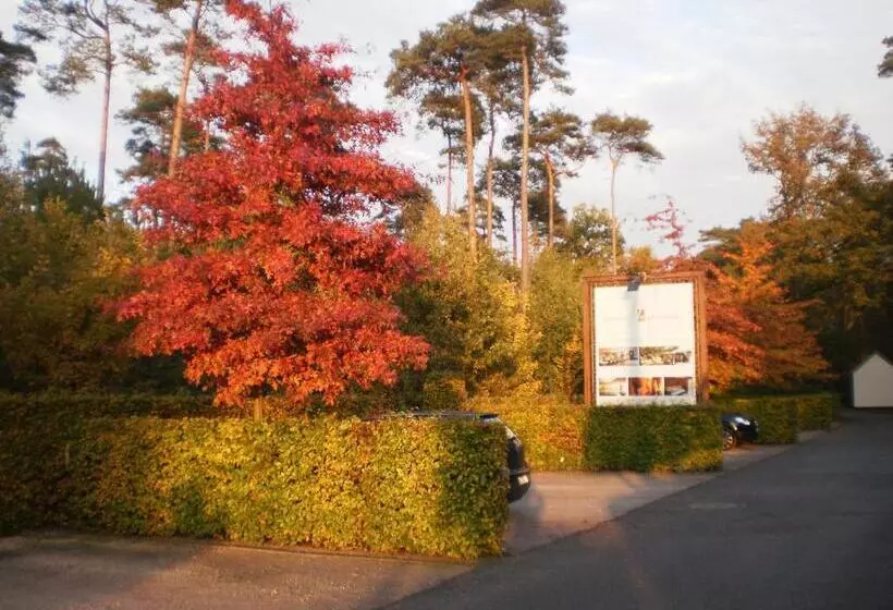 Hotelli Domein Martinus