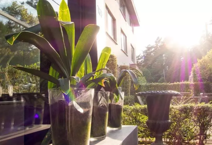 Hotelli Domein Martinus