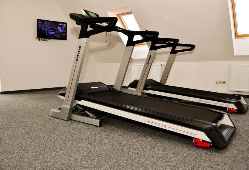 בית מלון כפרי Puchacz Spa