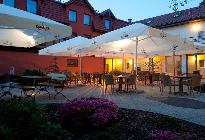 בית מלון כפרי Puchacz Spa