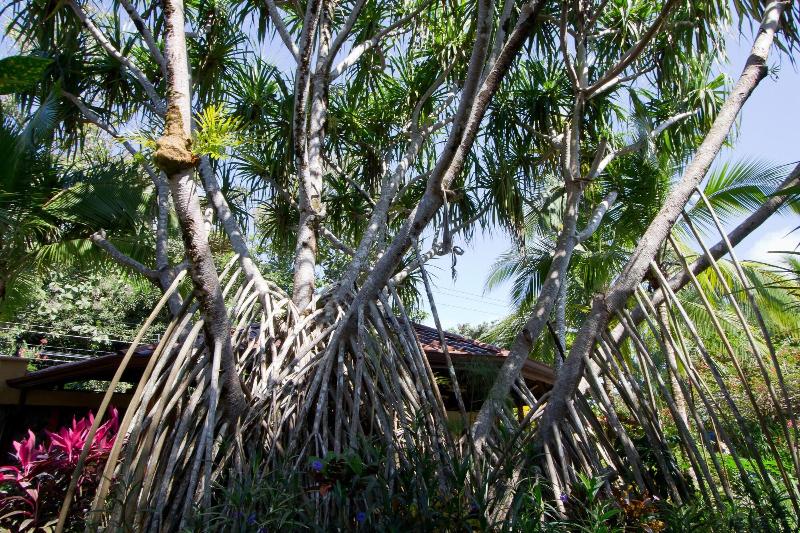 酒店 Villas Nicolás   Adults Only