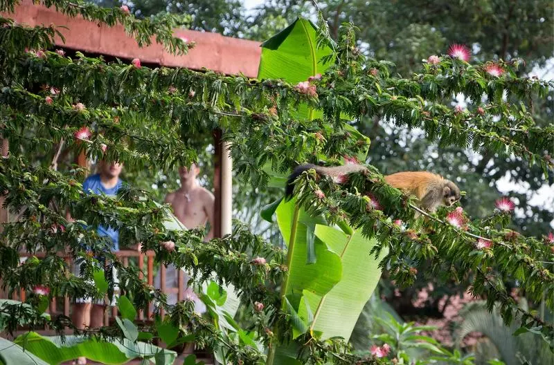 هتل Villas Nicolás   Adults Only