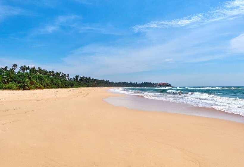 Noi Bentota   Villa Boutique