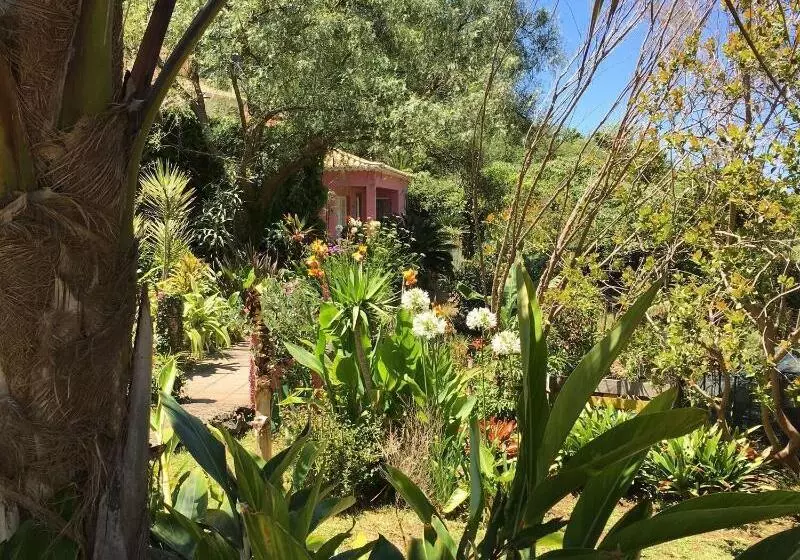 Majatalo Madeira Surf Lodge