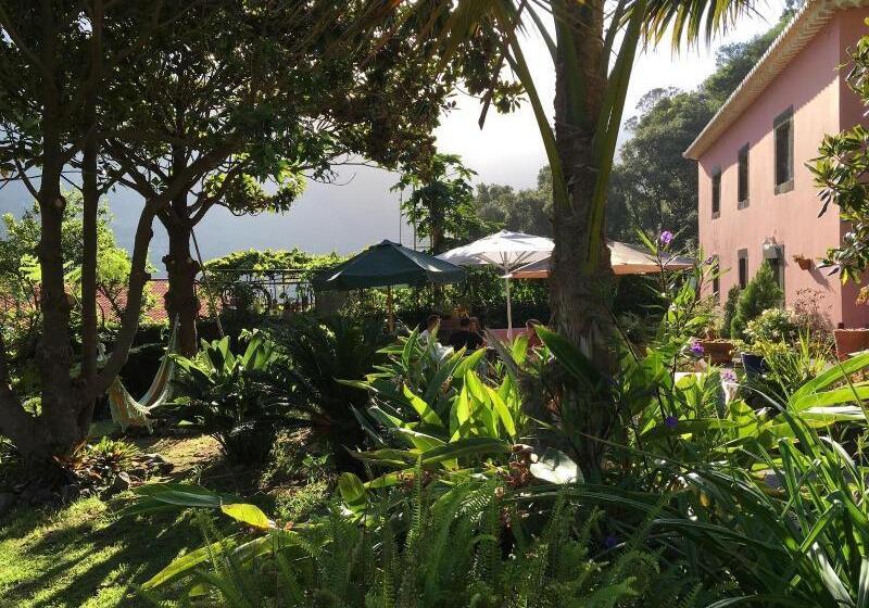 Пансион Madeira Surf Lodge