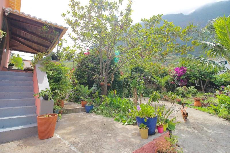 Пансион Madeira Surf Lodge