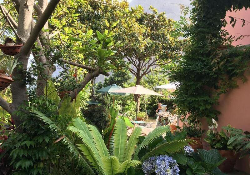 Пансион Madeira Surf Lodge