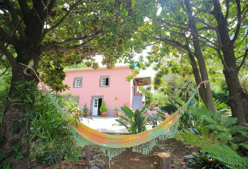 Пансион Madeira Surf Lodge