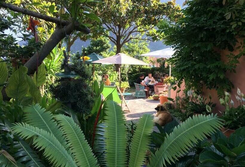 Пансион Madeira Surf Lodge