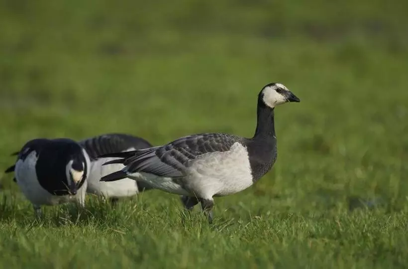 ペンション Vangsbo B&b Holidays