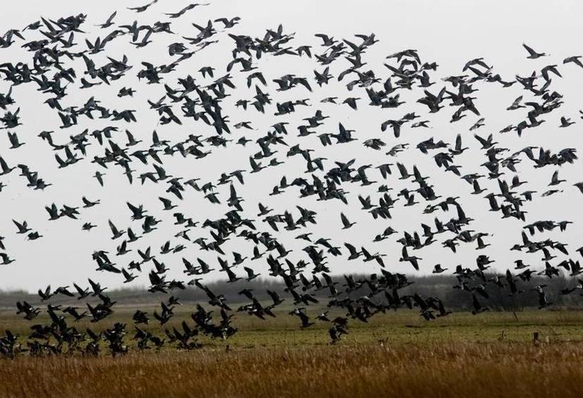 Pensione Vangsbo B&b Holidays