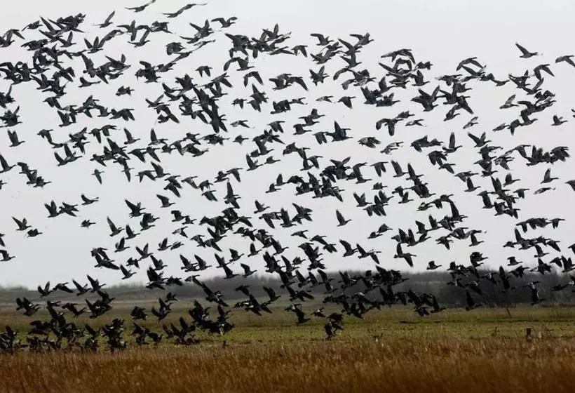 ペンション Vangsbo B&b Holidays