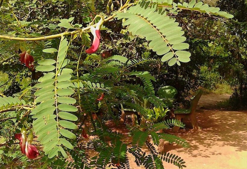 דירת נופש Sisira Homestay   Sigiriya