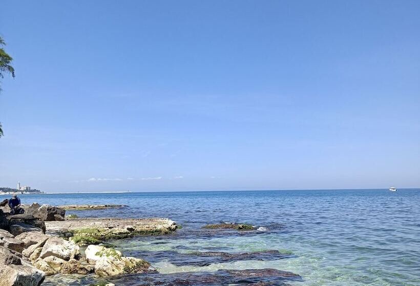 تختخواب و صبحانه Travel And Living