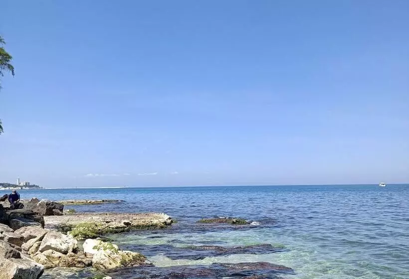 ベッドアンドブレックファースト Travel And Living