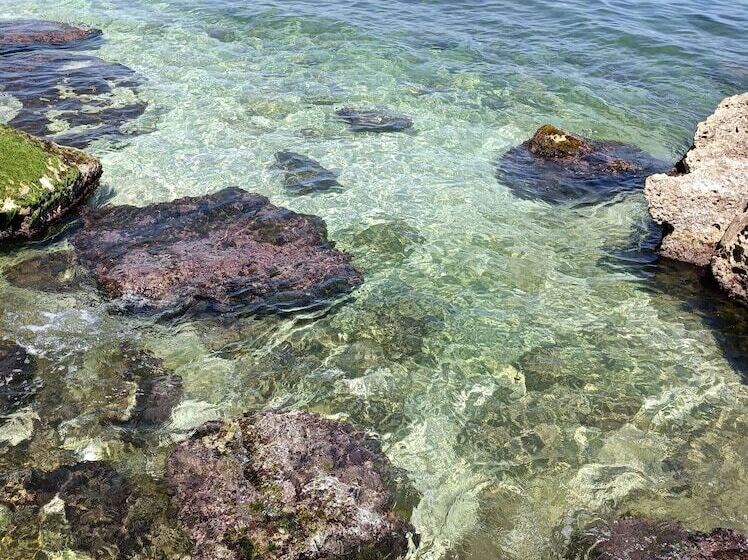 تختخواب و صبحانه Travel And Living