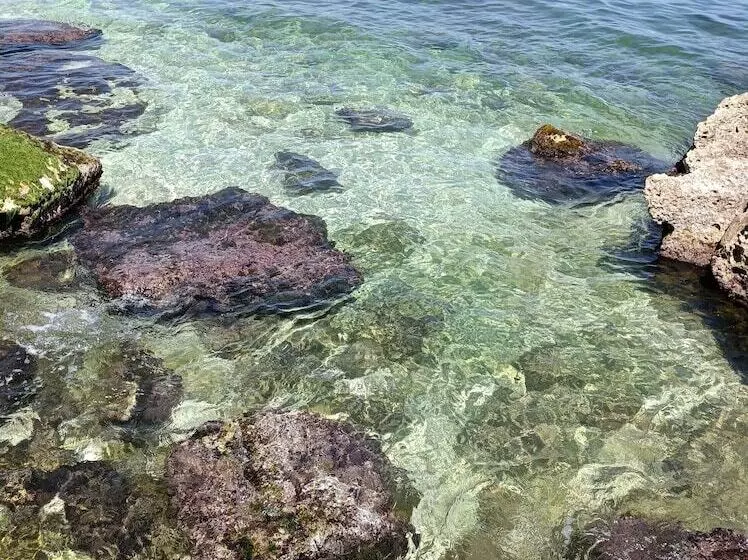 ベッドアンドブレックファースト Travel And Living