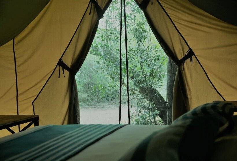 Hotel Base Camp Wilpattu