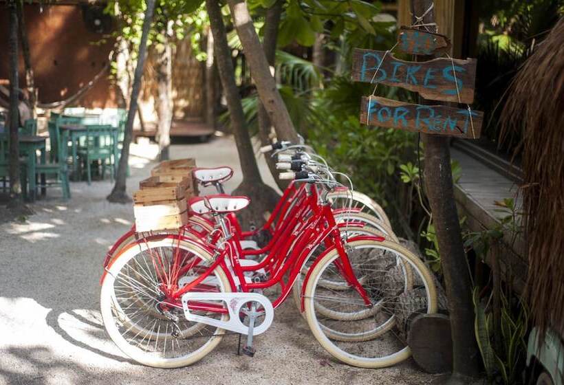 Szálloda I Scream House