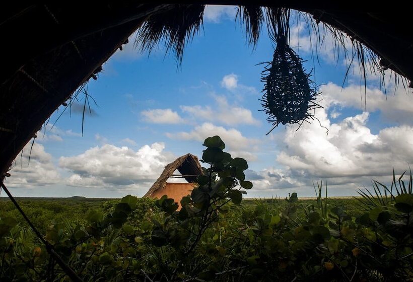 Szálloda I Scream House