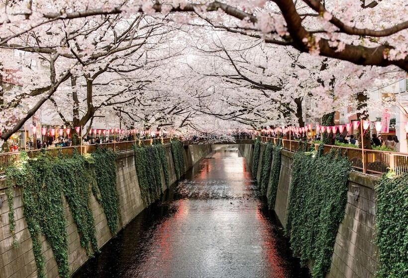 Отель The Millennials Shibuya