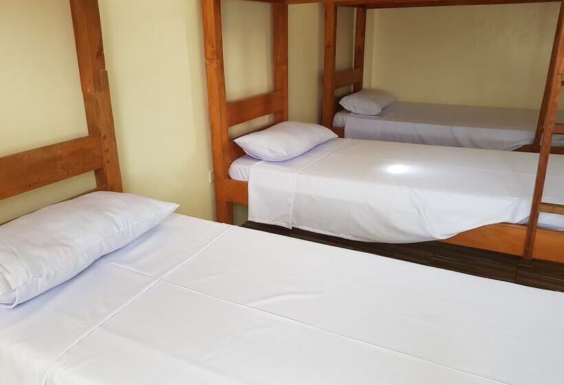 پانسیون Sha S Amour Dormitel