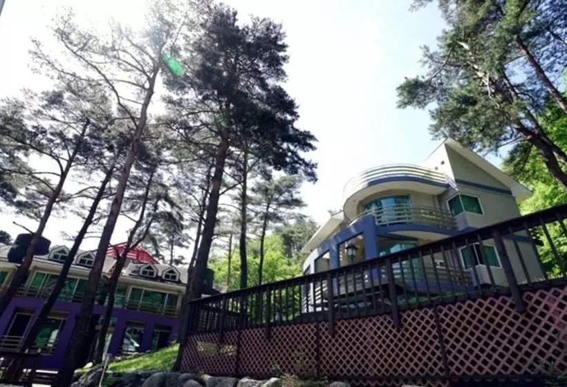 Royaltree Pension