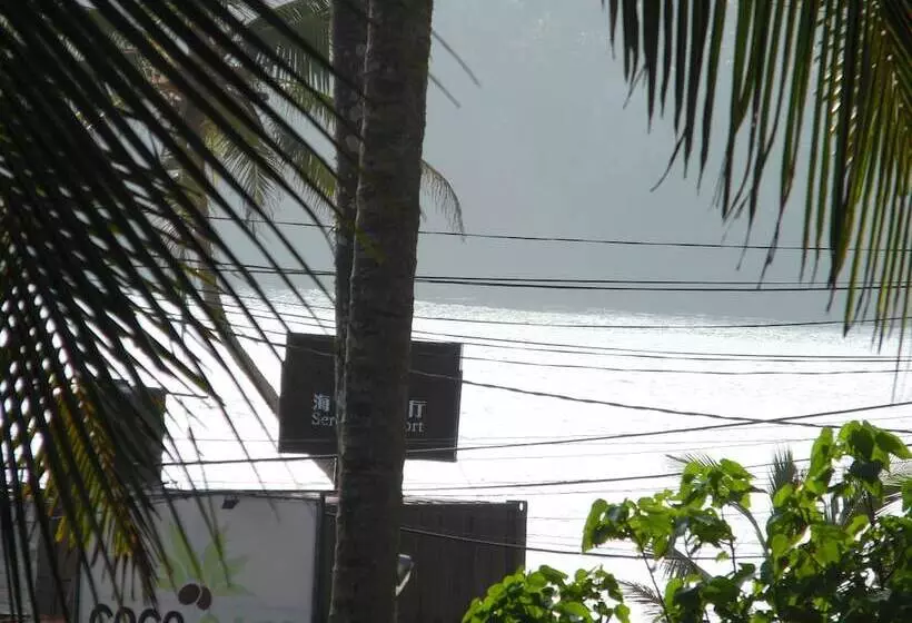 ベッドアンドブレックファースト Allan Guest House