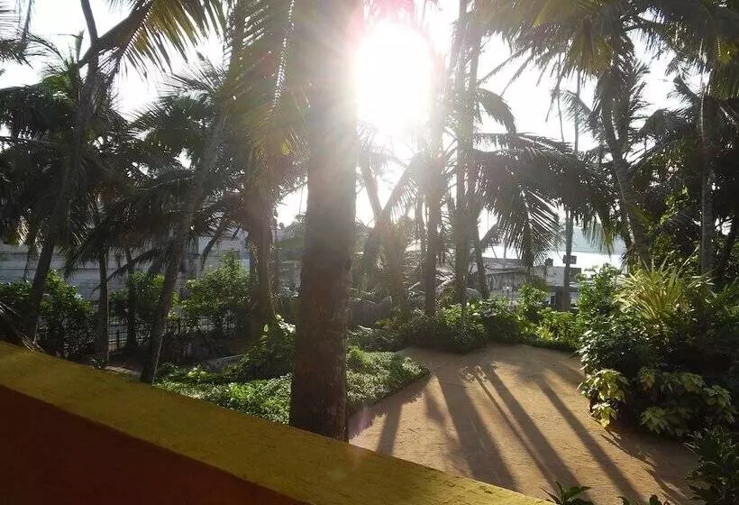 ベッドアンドブレックファースト Allan Guest House