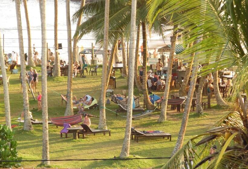 Bed and Breakfast Allan Guest House