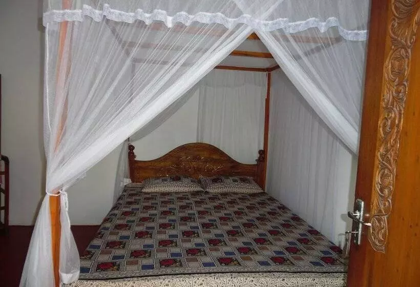 ベッドアンドブレックファースト Allan Guest House