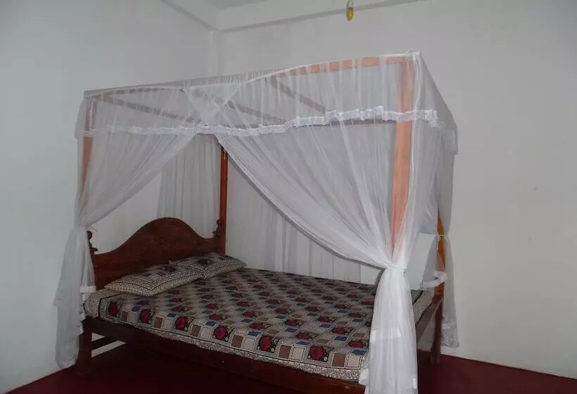 ベッドアンドブレックファースト Allan Guest House