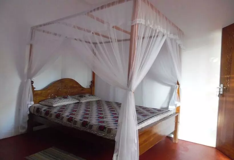 ベッドアンドブレックファースト Allan Guest House