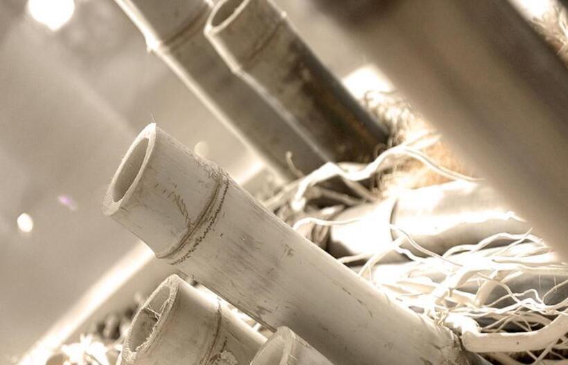 فندق فئة نجمة واحدة Altamarea Residence & Family