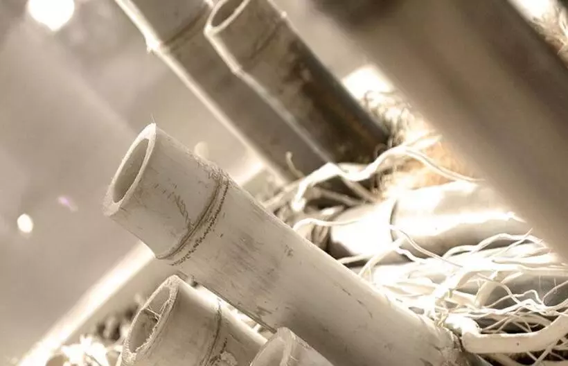 Hostelli Altamarea Residence & Family