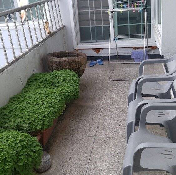 Masan   Guest House Rhizome   Hostel