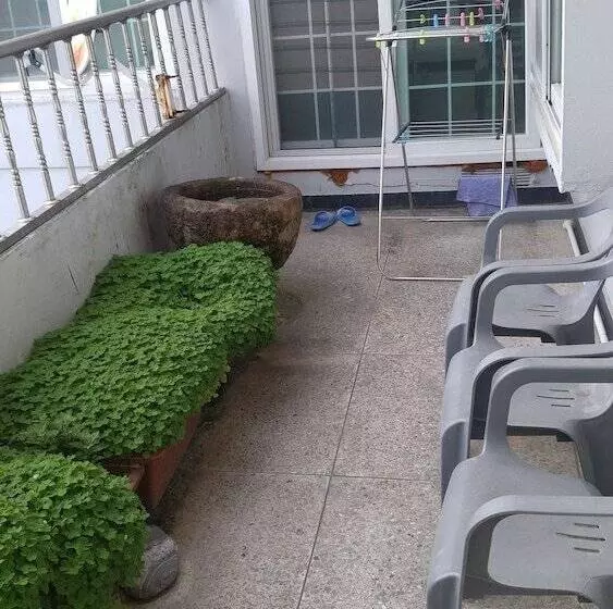 Masan   Guest House Rhizome   Hostel