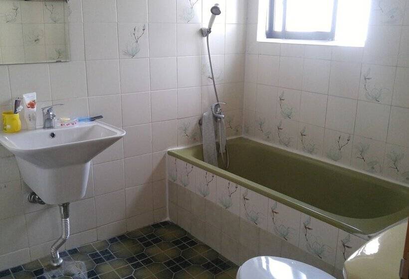 Masan   Guest House Rhizome   Hostel