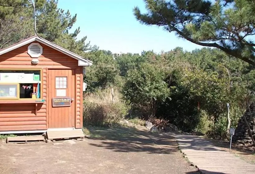 Palace In The Forest Pension