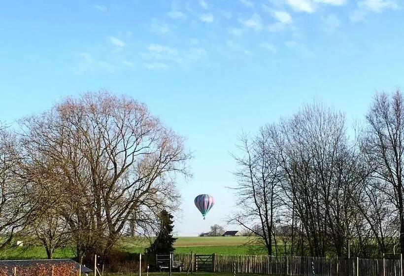 Majatalo Dimensions M