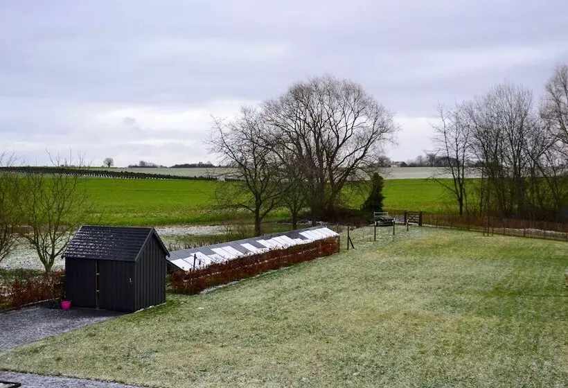 Majatalo Dimensions M