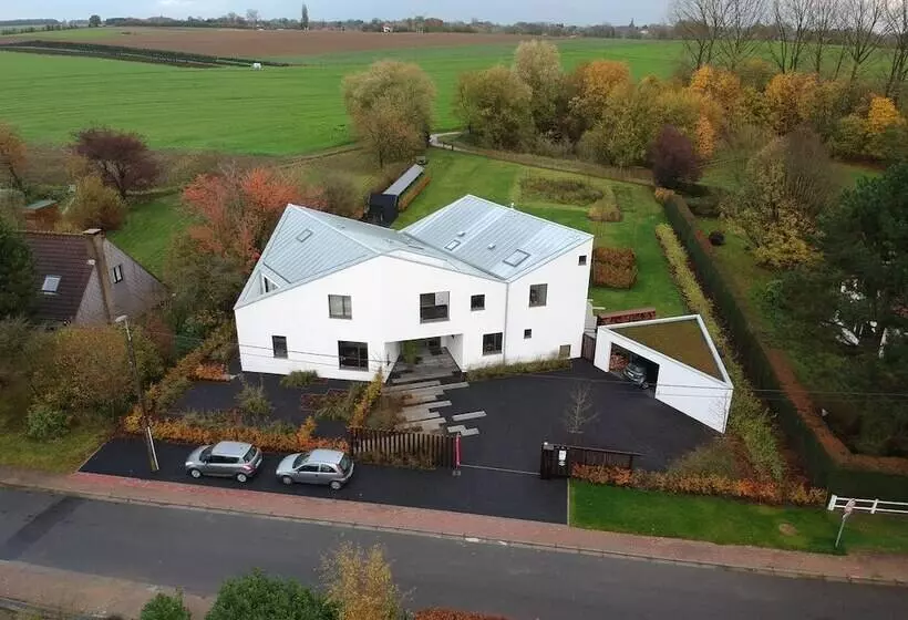 Majatalo Dimensions M