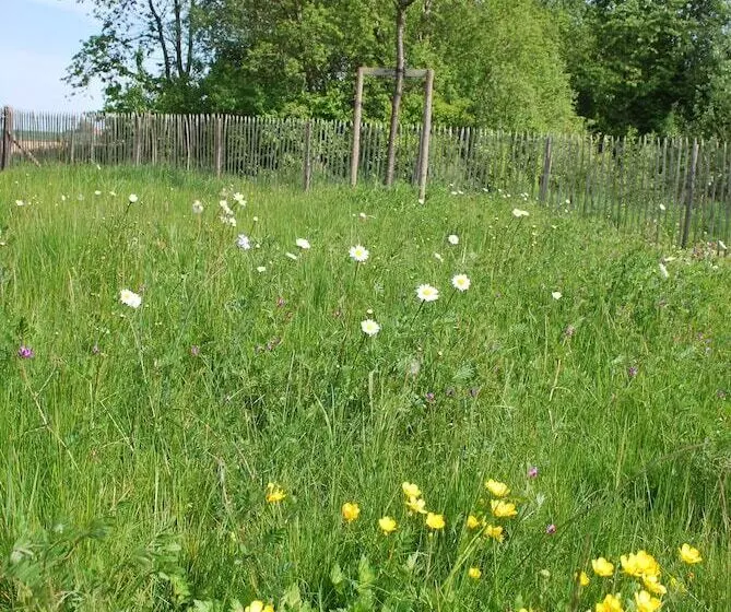 Majatalo Dimensions M