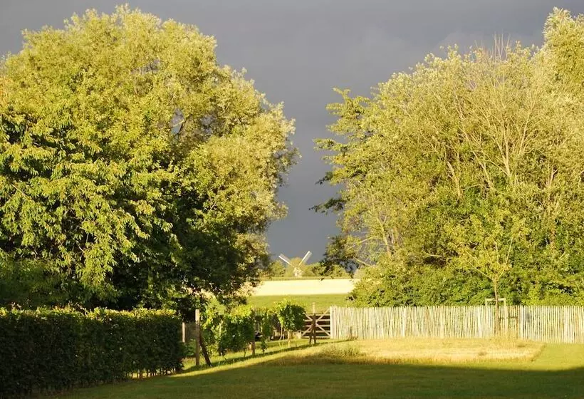 Majatalo Dimensions M