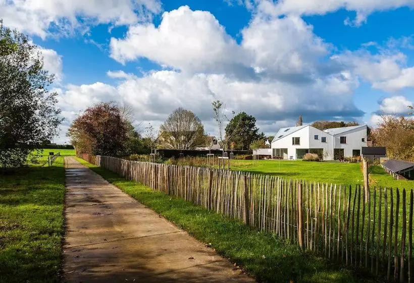 Majatalo Dimensions M