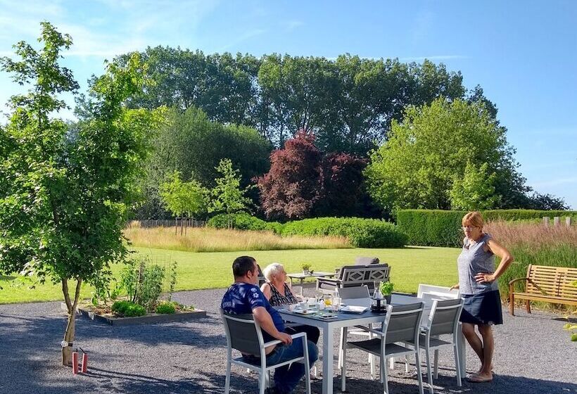 פנסיון Dimensions M