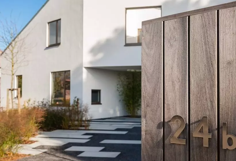 Majatalo Dimensions M