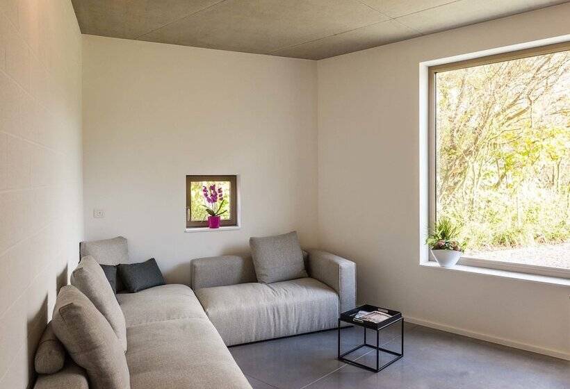 פנסיון Dimensions M