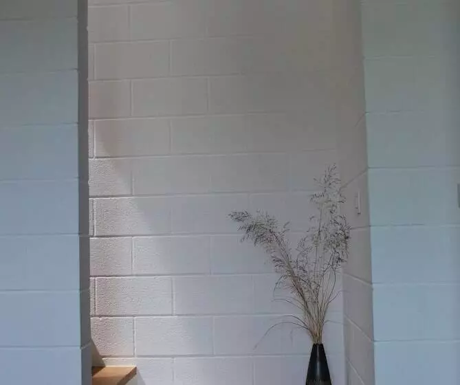 Majatalo Dimensions M