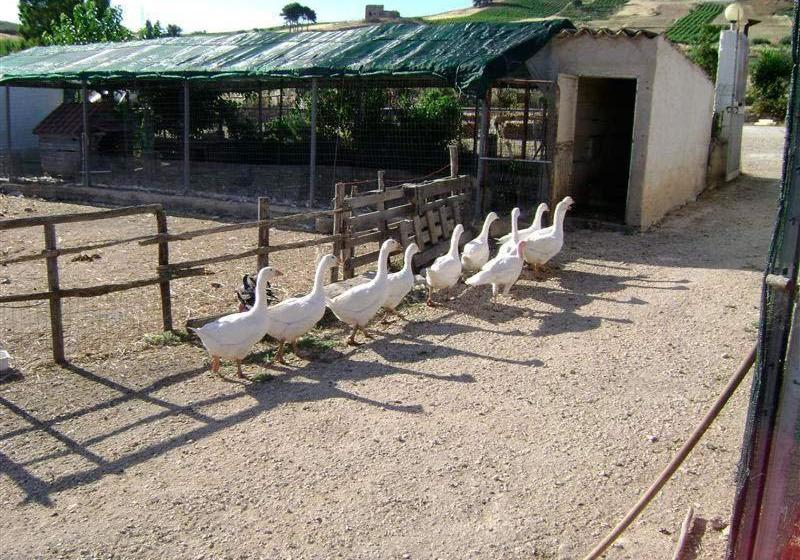 Agriturismo Fattoria Spezia